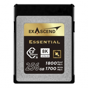 Karta pamięci ExAscend Essential CFexpress B 256GB