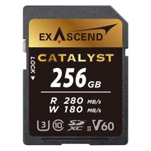 Karta pamięci SDXC ExAscend Catalyst UHS-II V60 256GB