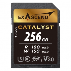 Karta pamięci SDXC ExAscend Catalyst UHS-I V30 256GB