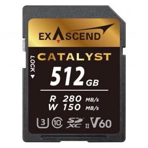 Karta pamięci SDXC ExAscend Catalyst UHS-II V60 512GB