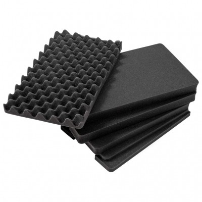 Wkład z gąbki B&W SI (sponge insert) do walizki T6600